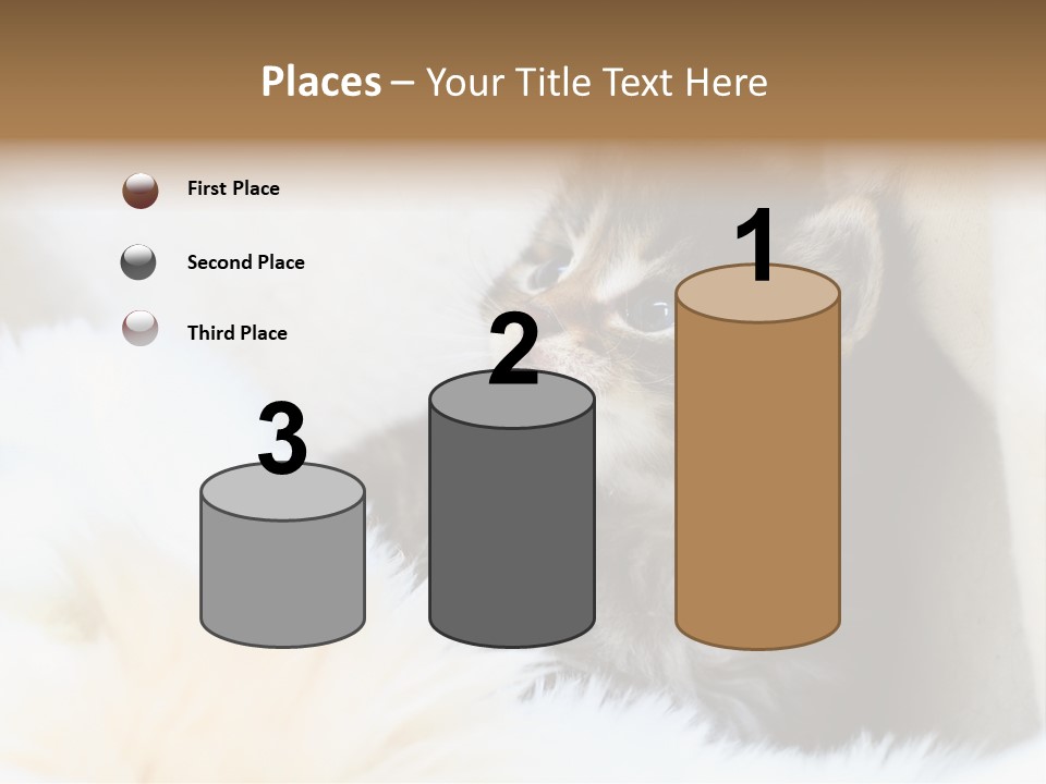 Domestic Pets Small PowerPoint Template