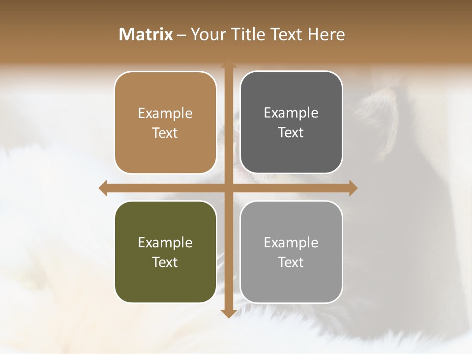 Domestic Pets Small PowerPoint Template