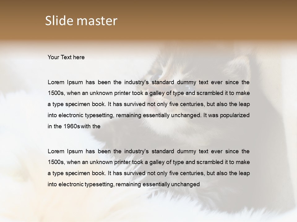 Domestic Pets Small PowerPoint Template