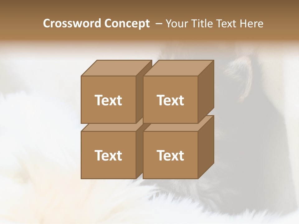 Domestic Pets Small PowerPoint Template