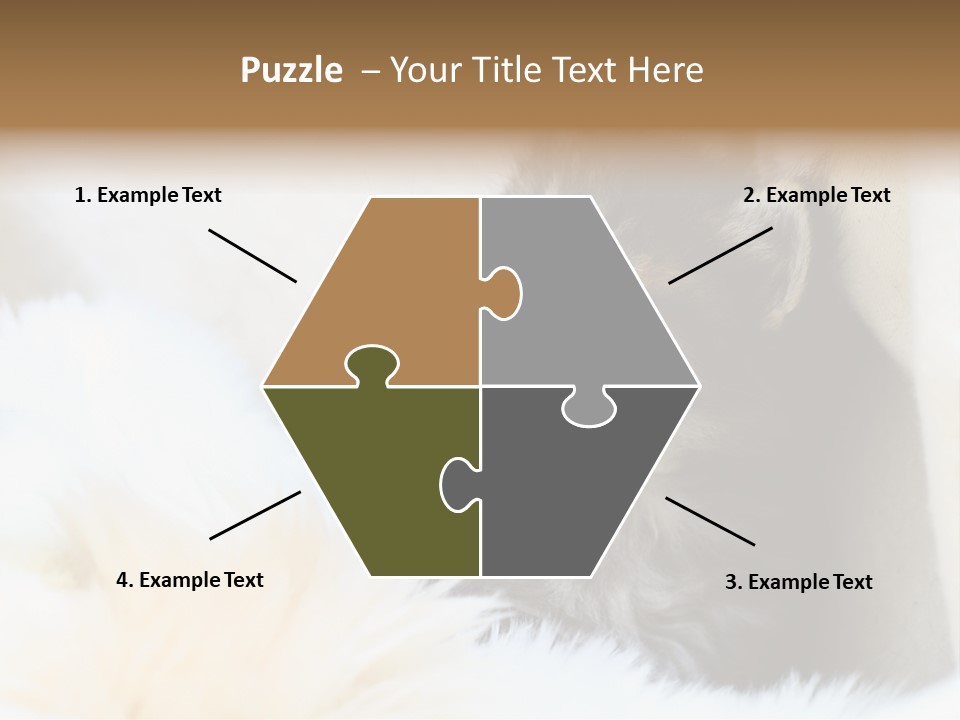 Domestic Pets Small PowerPoint Template