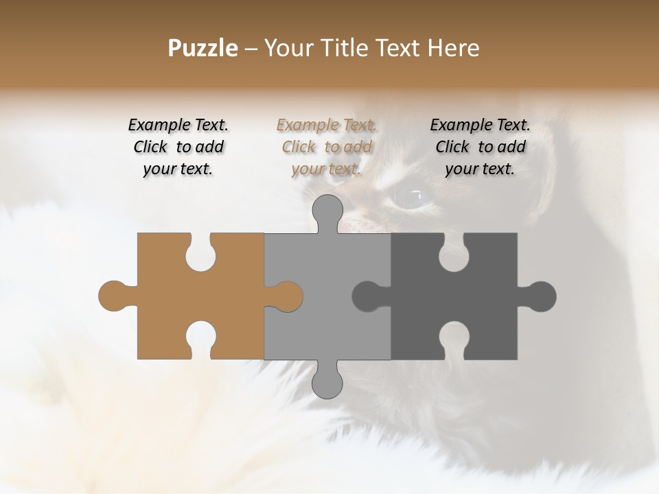 Domestic Pets Small PowerPoint Template