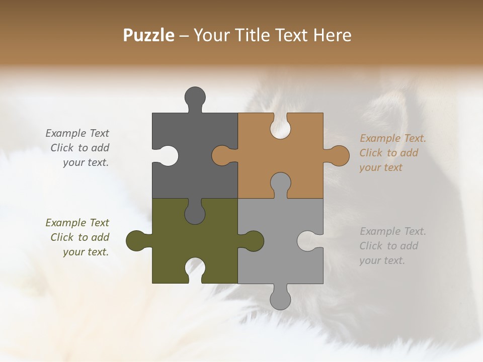 Domestic Pets Small PowerPoint Template