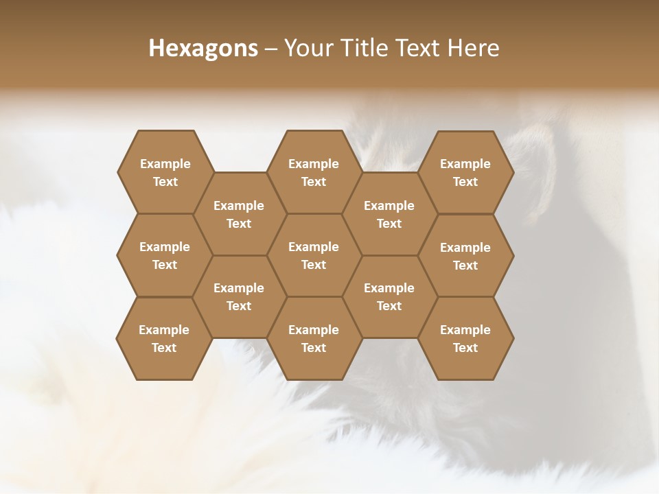 Domestic Pets Small PowerPoint Template