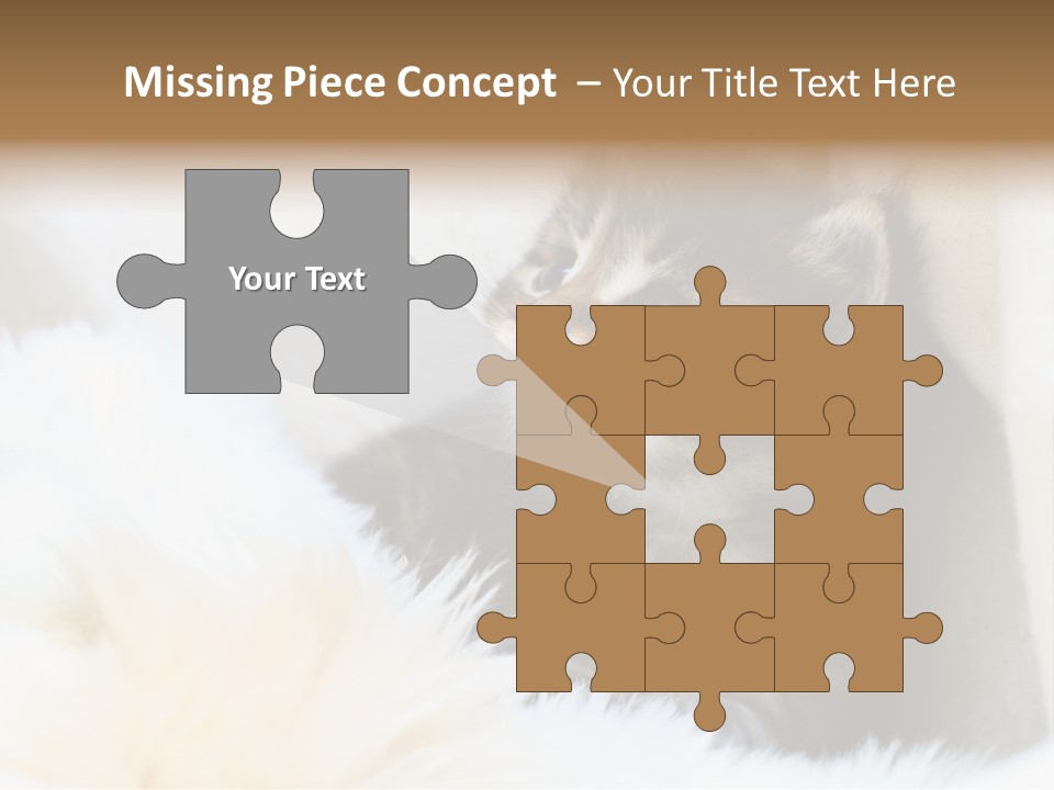 Domestic Pets Small PowerPoint Template