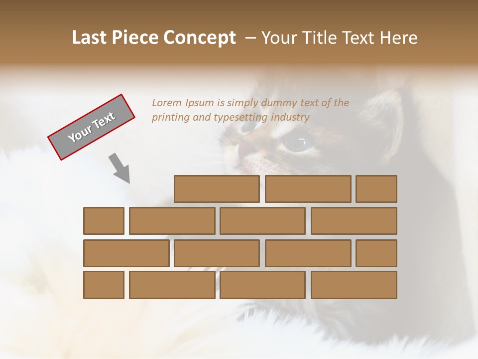 Domestic Pets Small PowerPoint Template