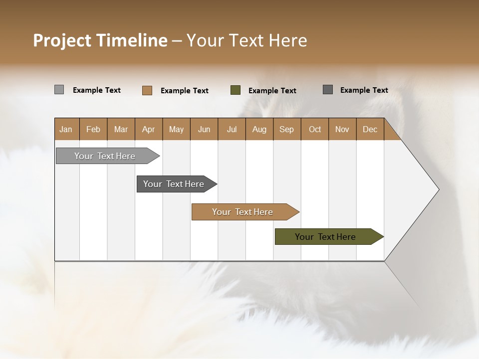 Domestic Pets Small PowerPoint Template