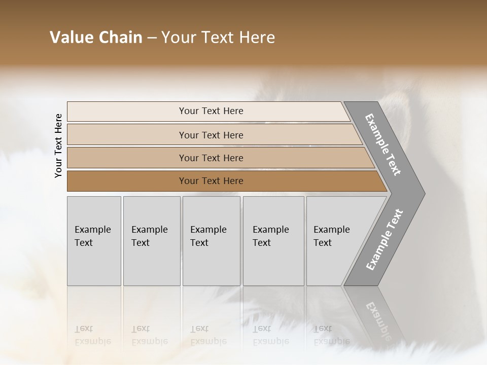 Domestic Pets Small PowerPoint Template