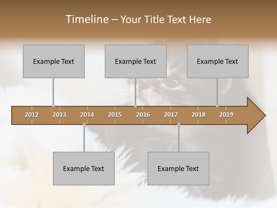 Domestic Pets Small PowerPoint Template