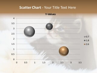 Domestic Pets Small PowerPoint Template