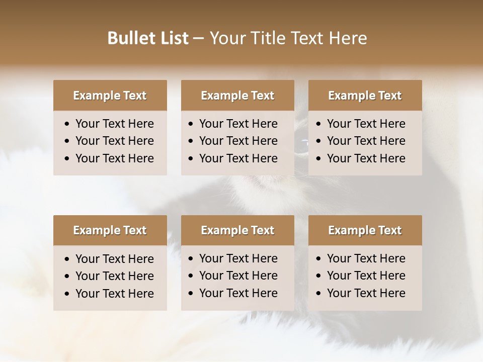 Domestic Pets Small PowerPoint Template