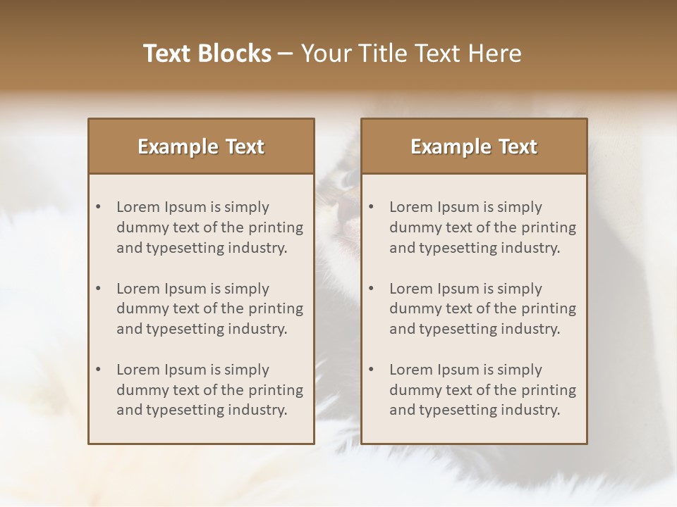 Domestic Pets Small PowerPoint Template