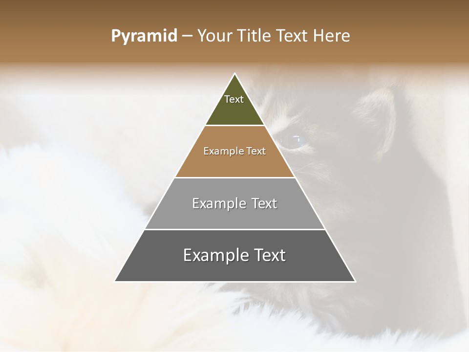 Domestic Pets Small PowerPoint Template