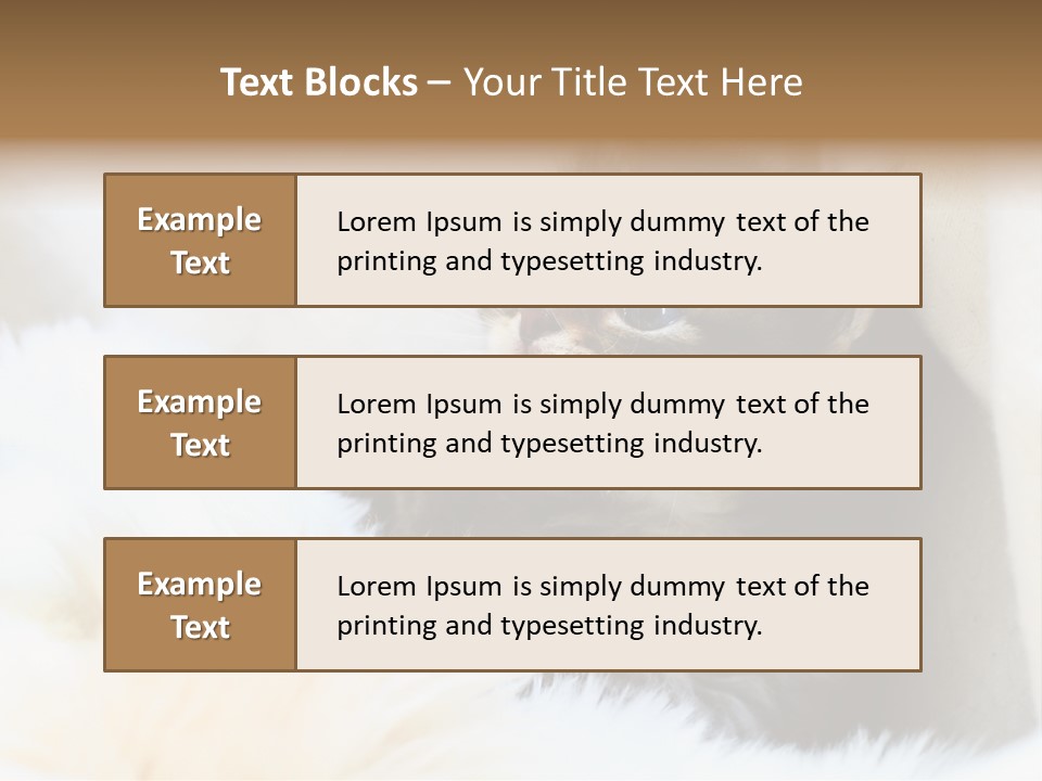 Domestic Pets Small PowerPoint Template