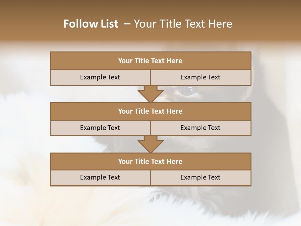 Domestic Pets Small PowerPoint Template