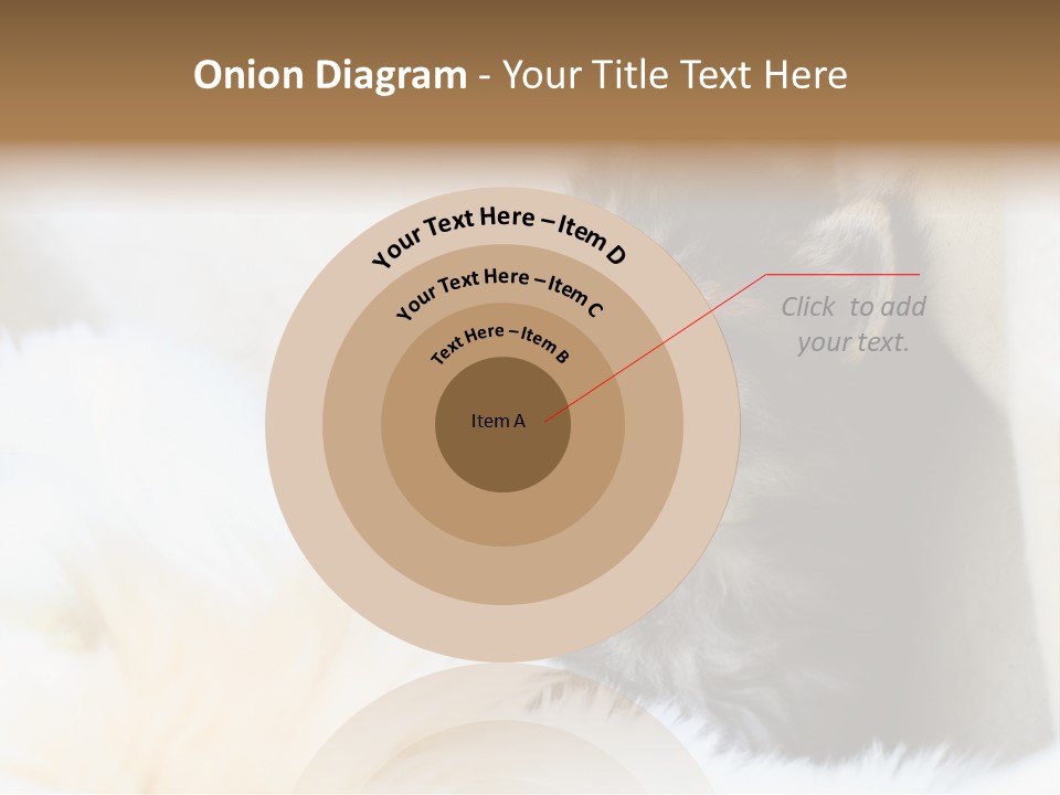 Domestic Pets Small PowerPoint Template