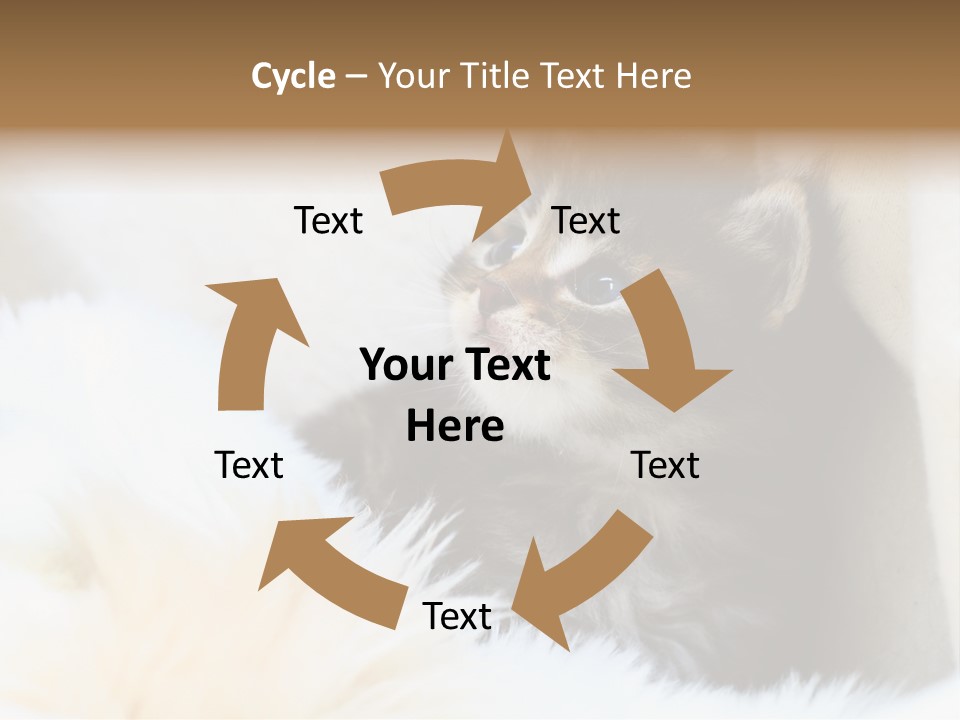 Domestic Pets Small PowerPoint Template