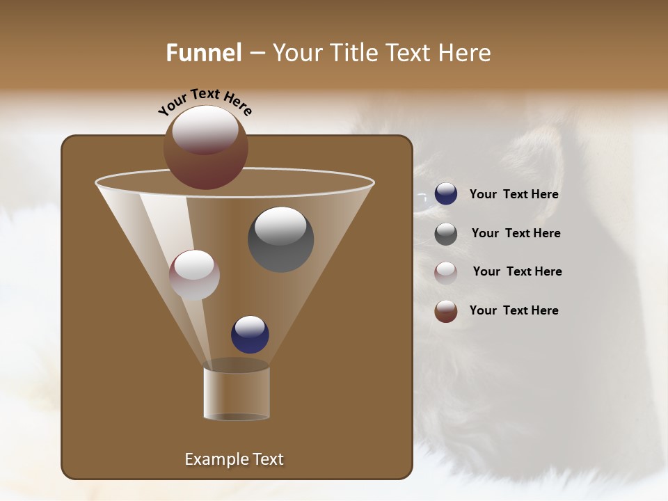 Domestic Pets Small PowerPoint Template