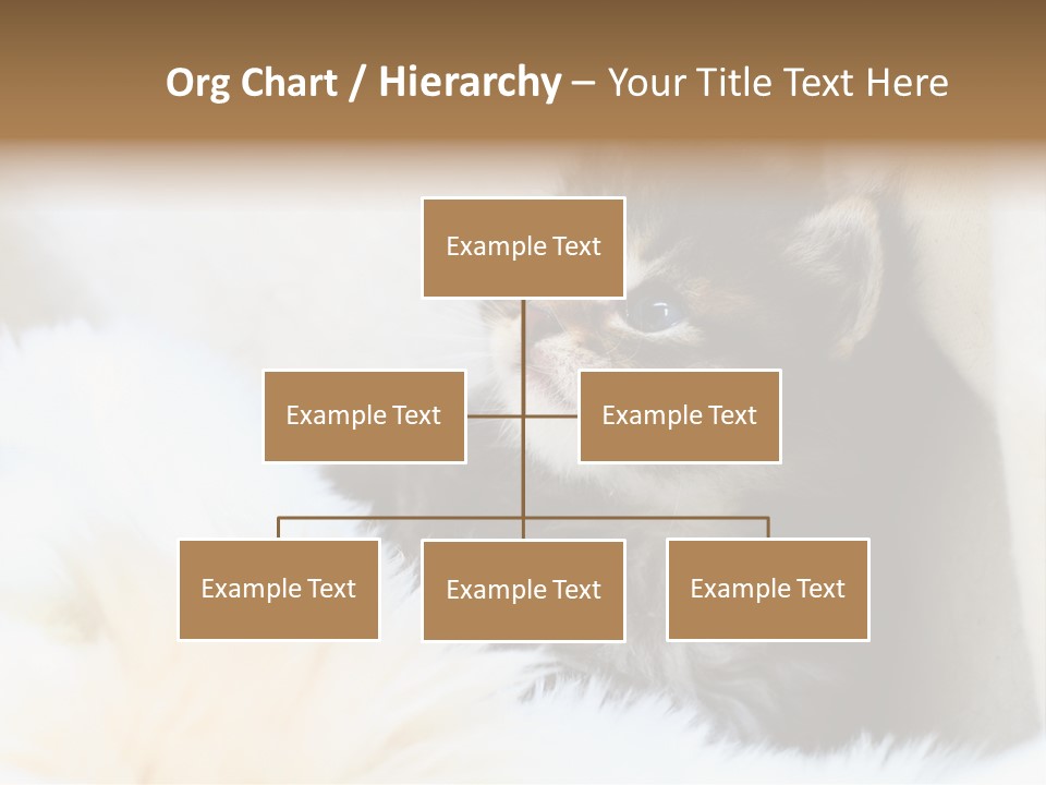 Domestic Pets Small PowerPoint Template