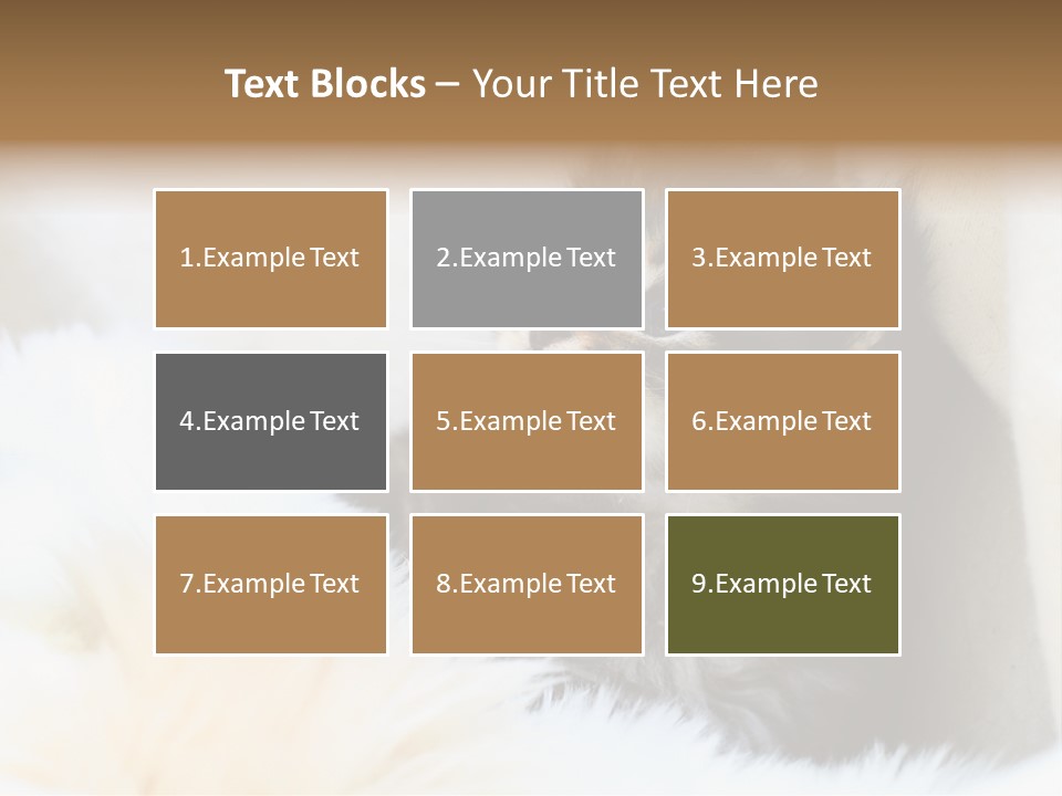 Domestic Pets Small PowerPoint Template