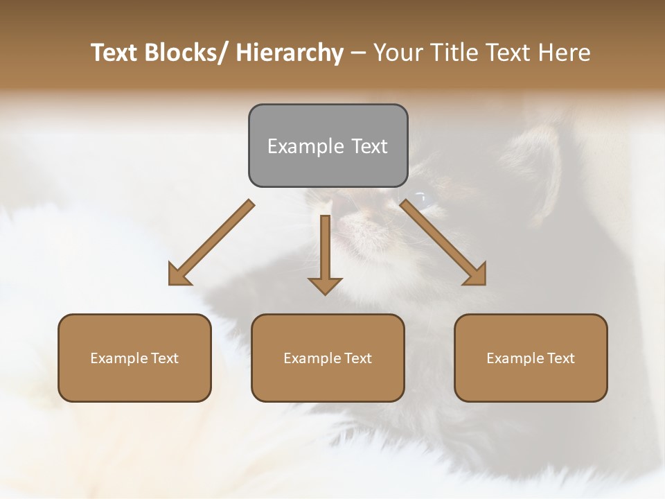 Domestic Pets Small PowerPoint Template