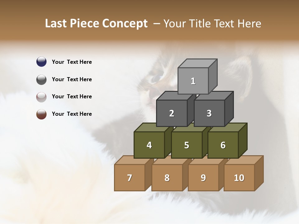 Domestic Pets Small PowerPoint Template