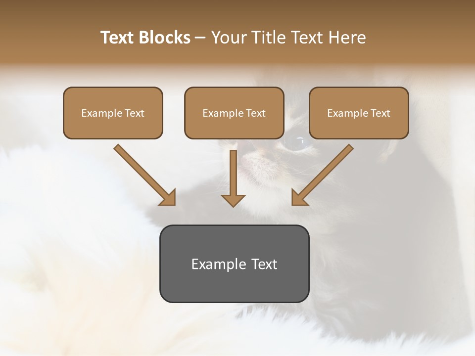 Domestic Pets Small PowerPoint Template