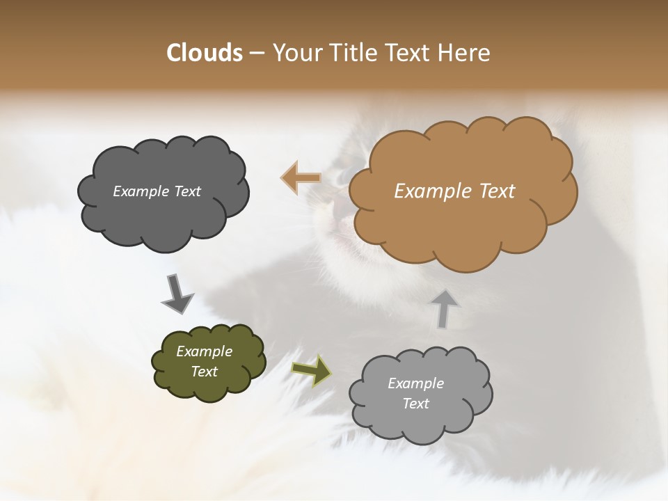 Domestic Pets Small PowerPoint Template