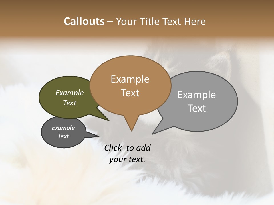 Domestic Pets Small PowerPoint Template
