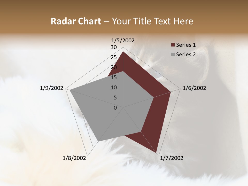 Domestic Pets Small PowerPoint Template