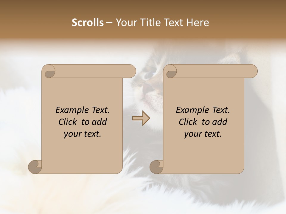 Domestic Pets Small PowerPoint Template