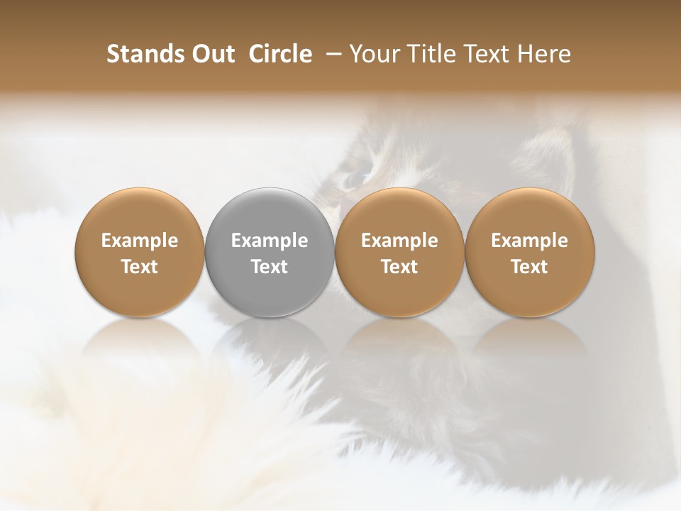 Domestic Pets Small PowerPoint Template