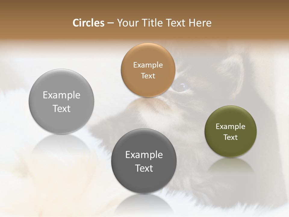 Domestic Pets Small PowerPoint Template