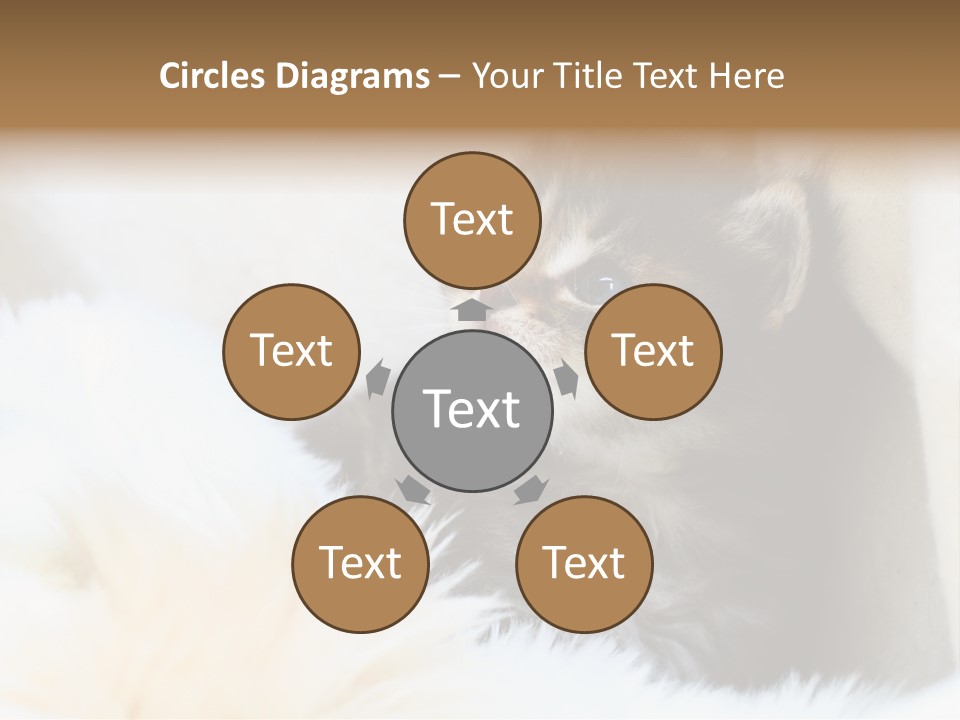 Domestic Pets Small PowerPoint Template