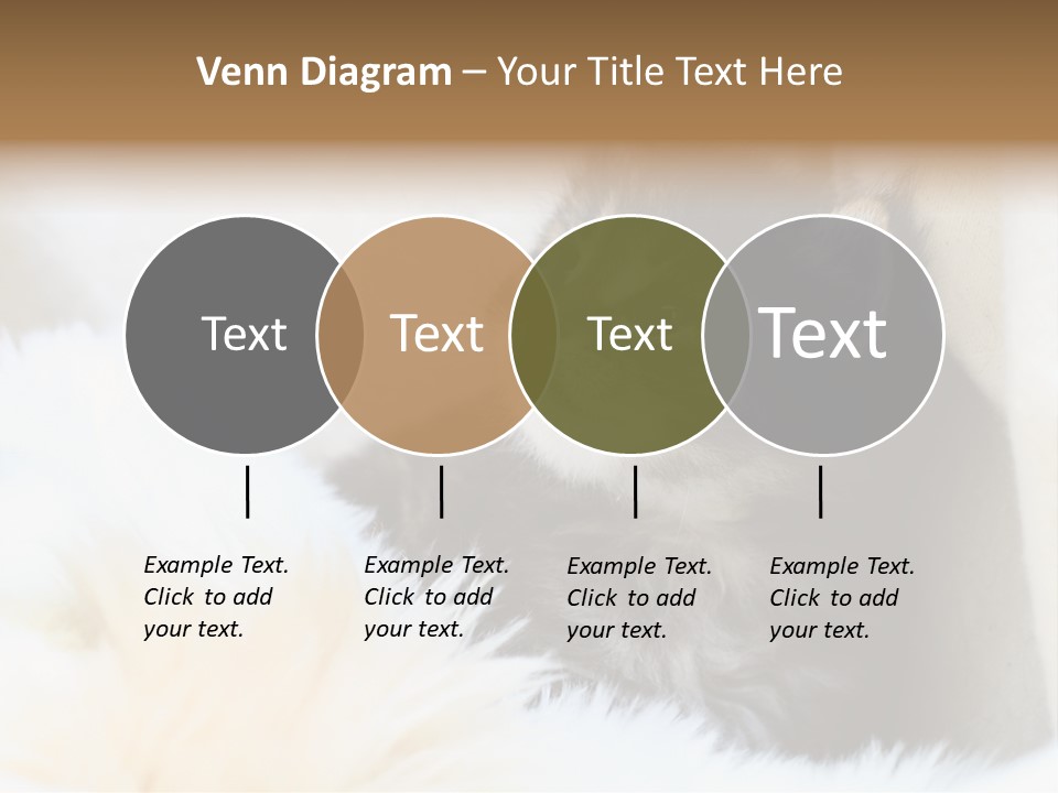 Domestic Pets Small PowerPoint Template