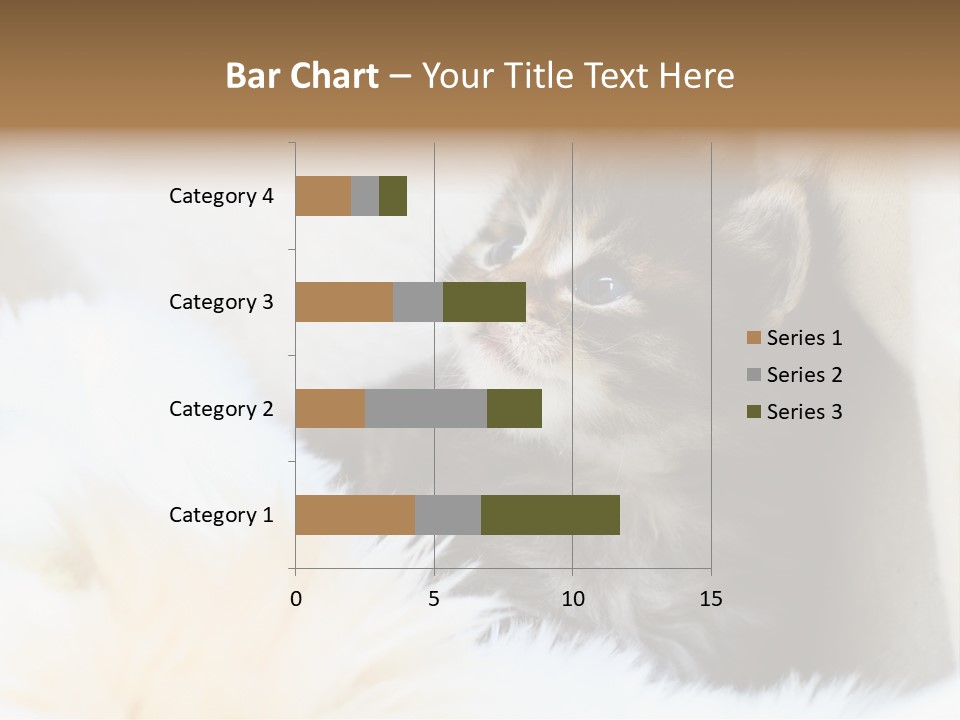 Domestic Pets Small PowerPoint Template