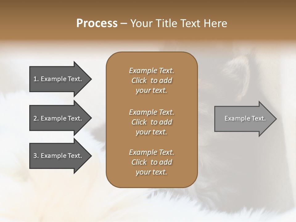 Domestic Pets Small PowerPoint Template
