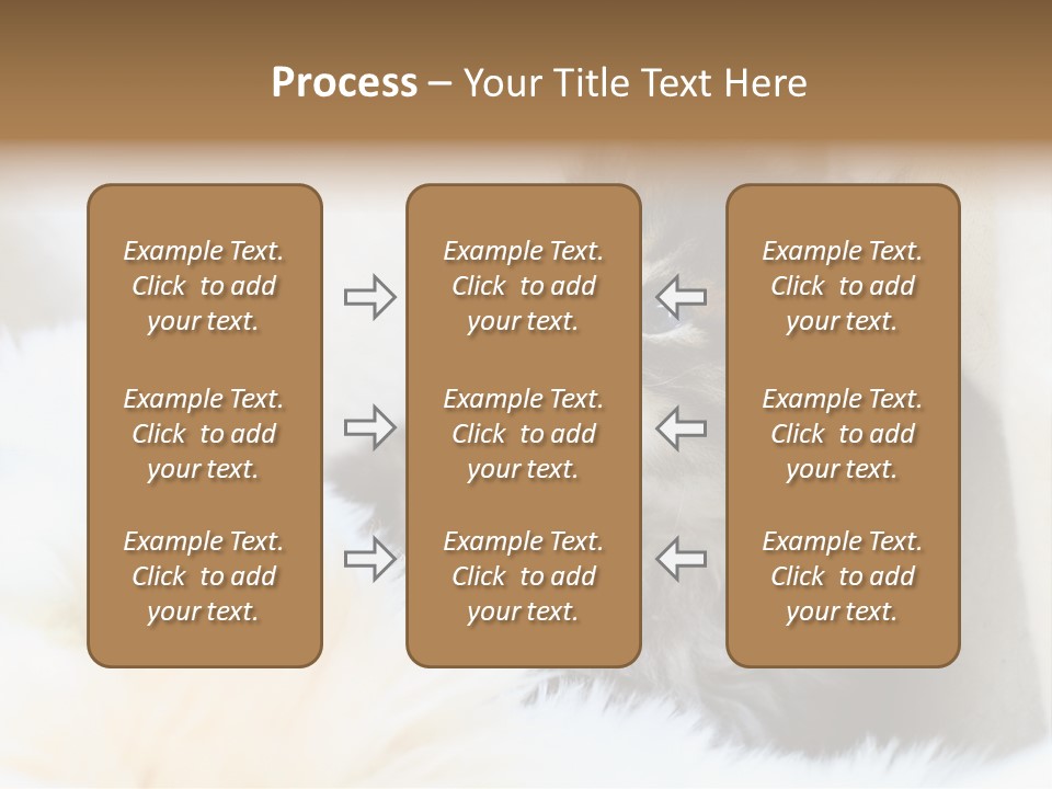Domestic Pets Small PowerPoint Template