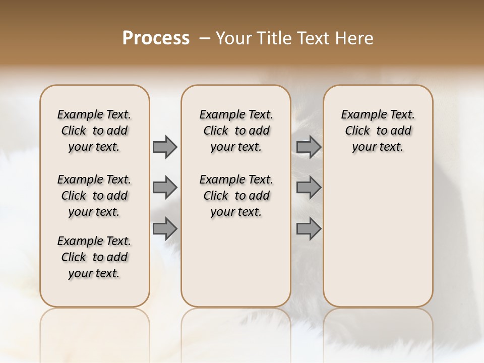 Domestic Pets Small PowerPoint Template