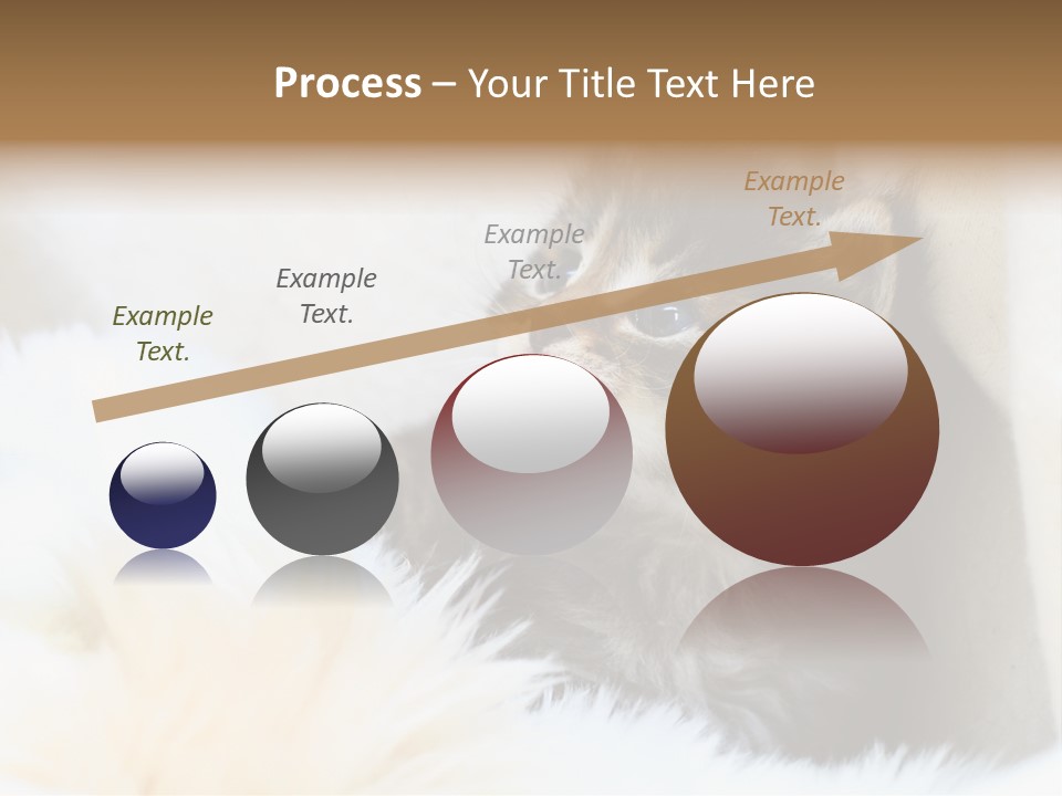 Domestic Pets Small PowerPoint Template