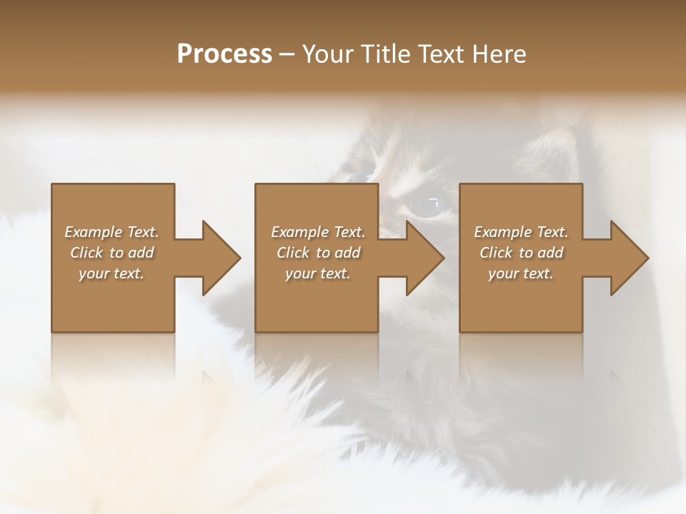 Domestic Pets Small PowerPoint Template