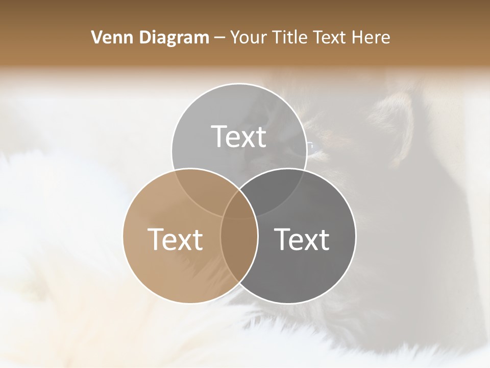 Domestic Pets Small PowerPoint Template