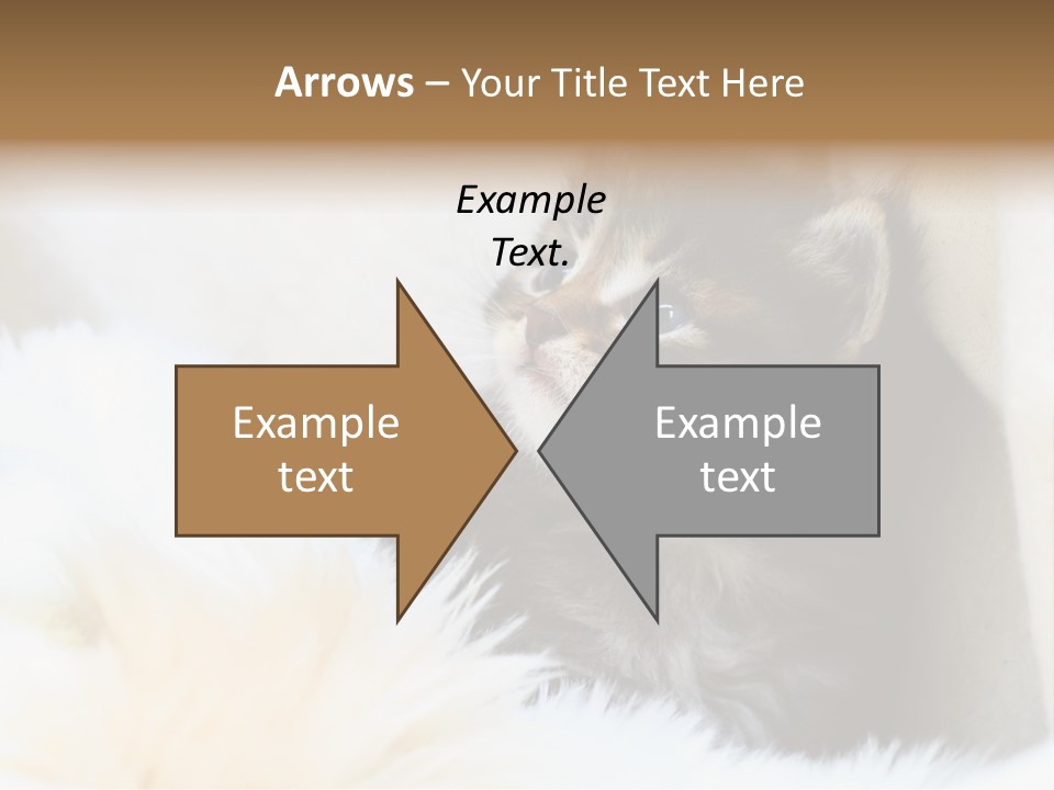 Domestic Pets Small PowerPoint Template