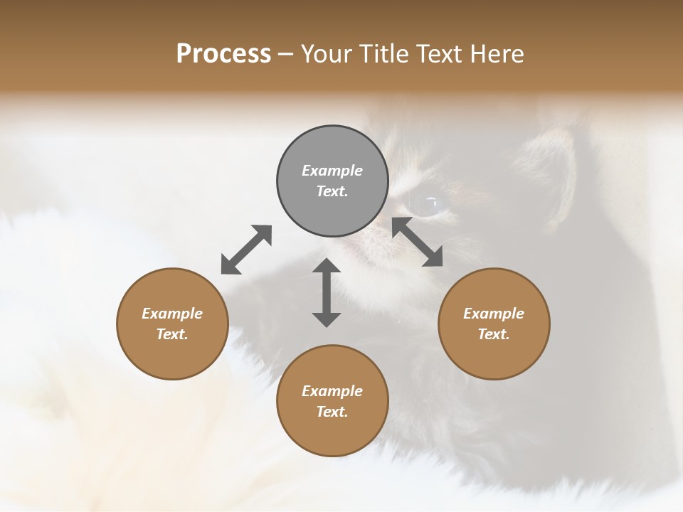 Domestic Pets Small PowerPoint Template