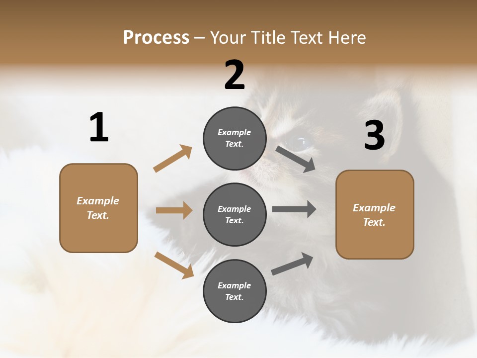 Domestic Pets Small PowerPoint Template