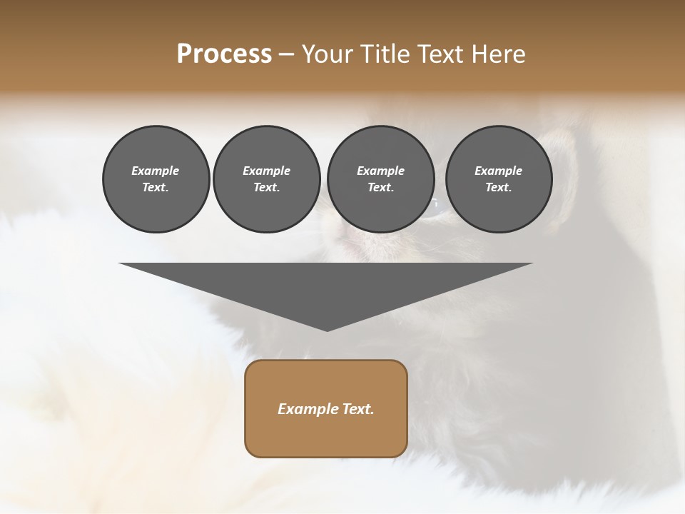 Domestic Pets Small PowerPoint Template