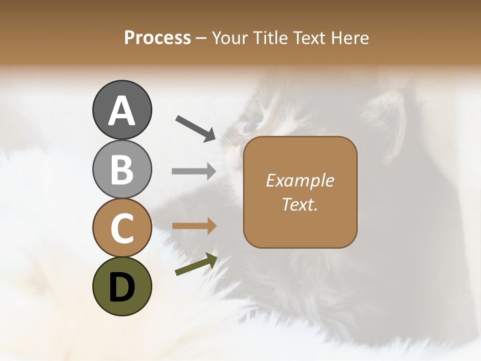 Domestic Pets Small PowerPoint Template