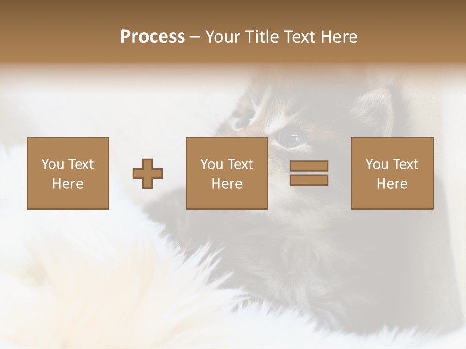 Domestic Pets Small PowerPoint Template