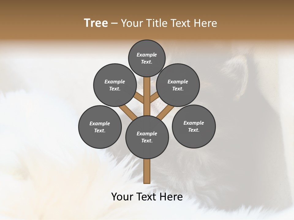 Domestic Pets Small PowerPoint Template