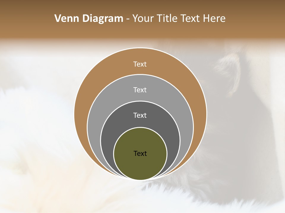 Domestic Pets Small PowerPoint Template